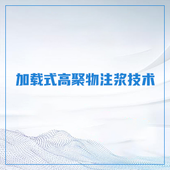 加载式高聚物注浆技术 